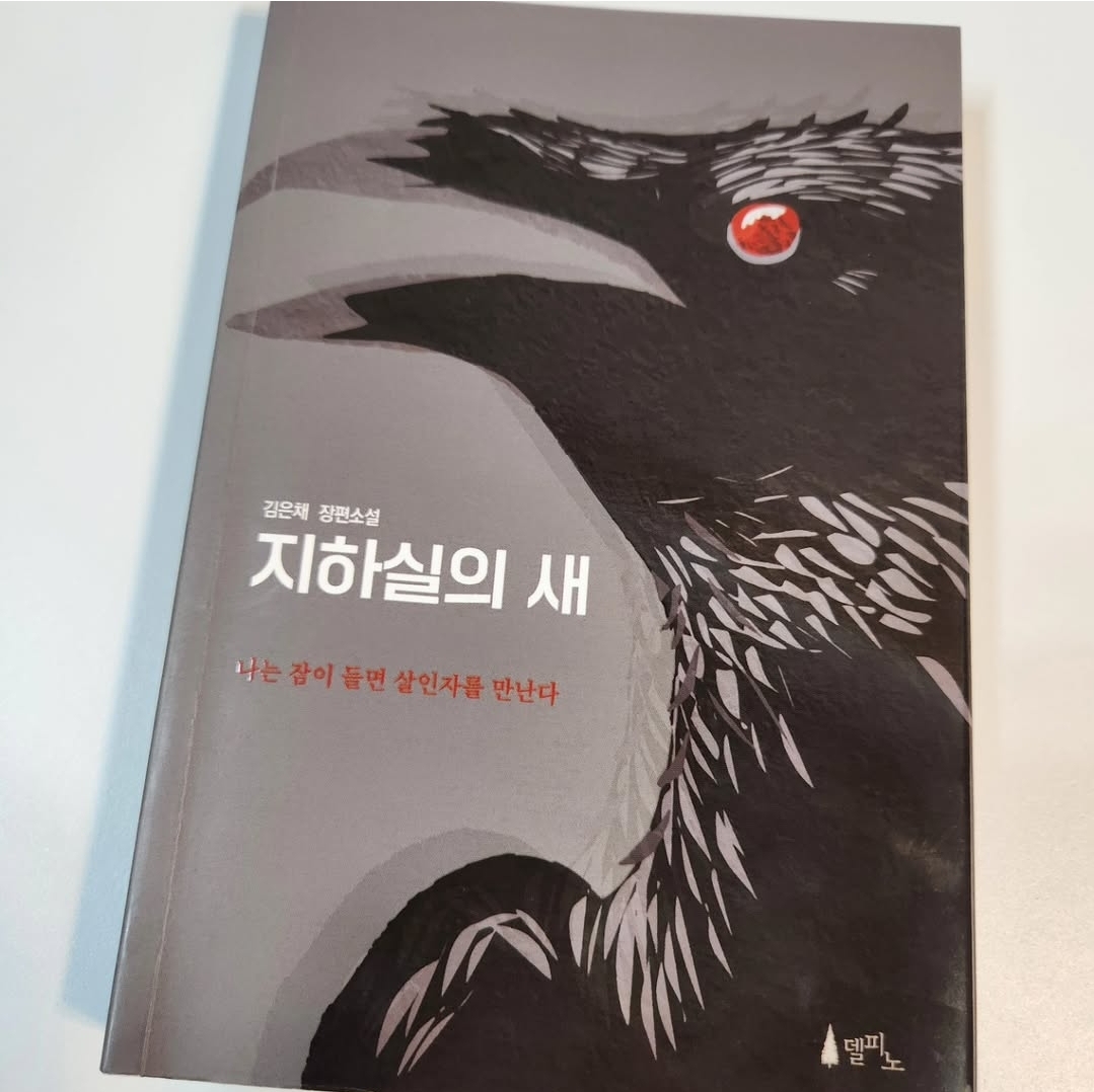 컨텐츠 이미지