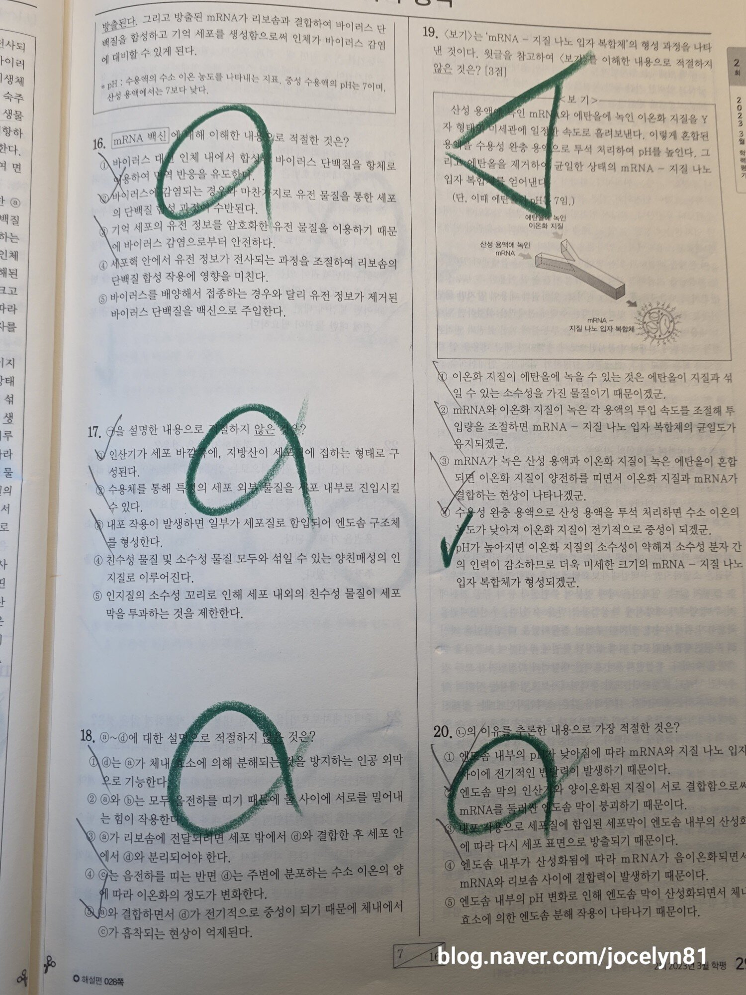 첨부된 사진