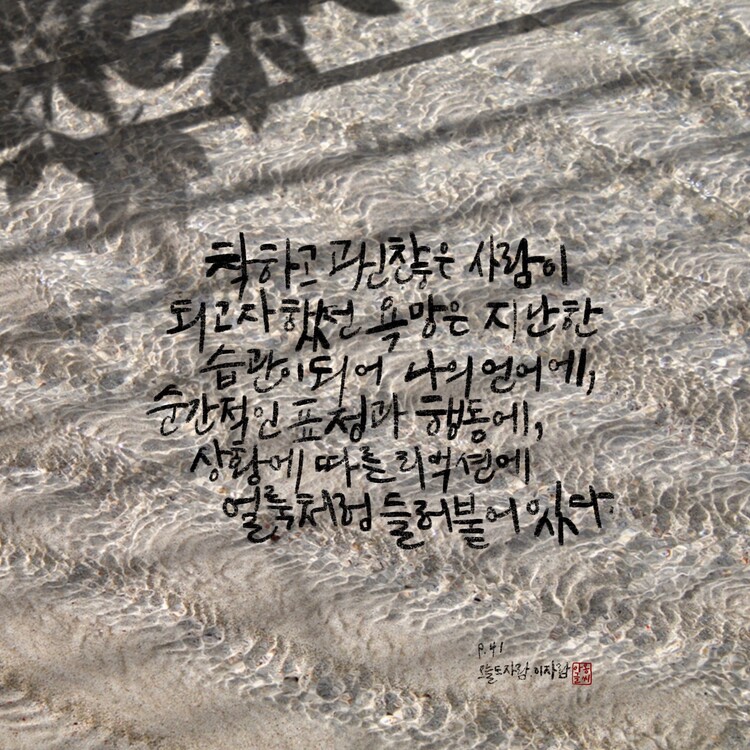 대표사진
