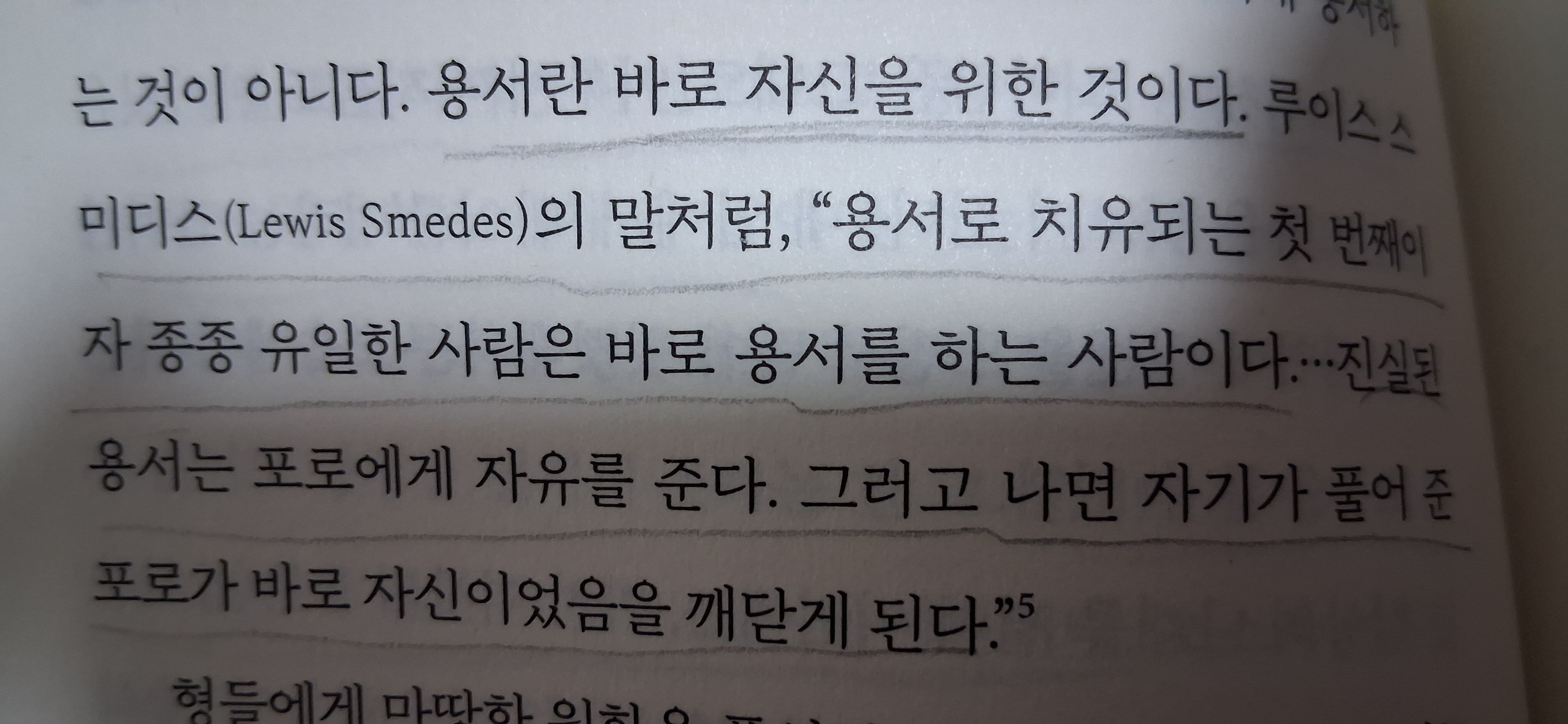 컨텐츠 이미지