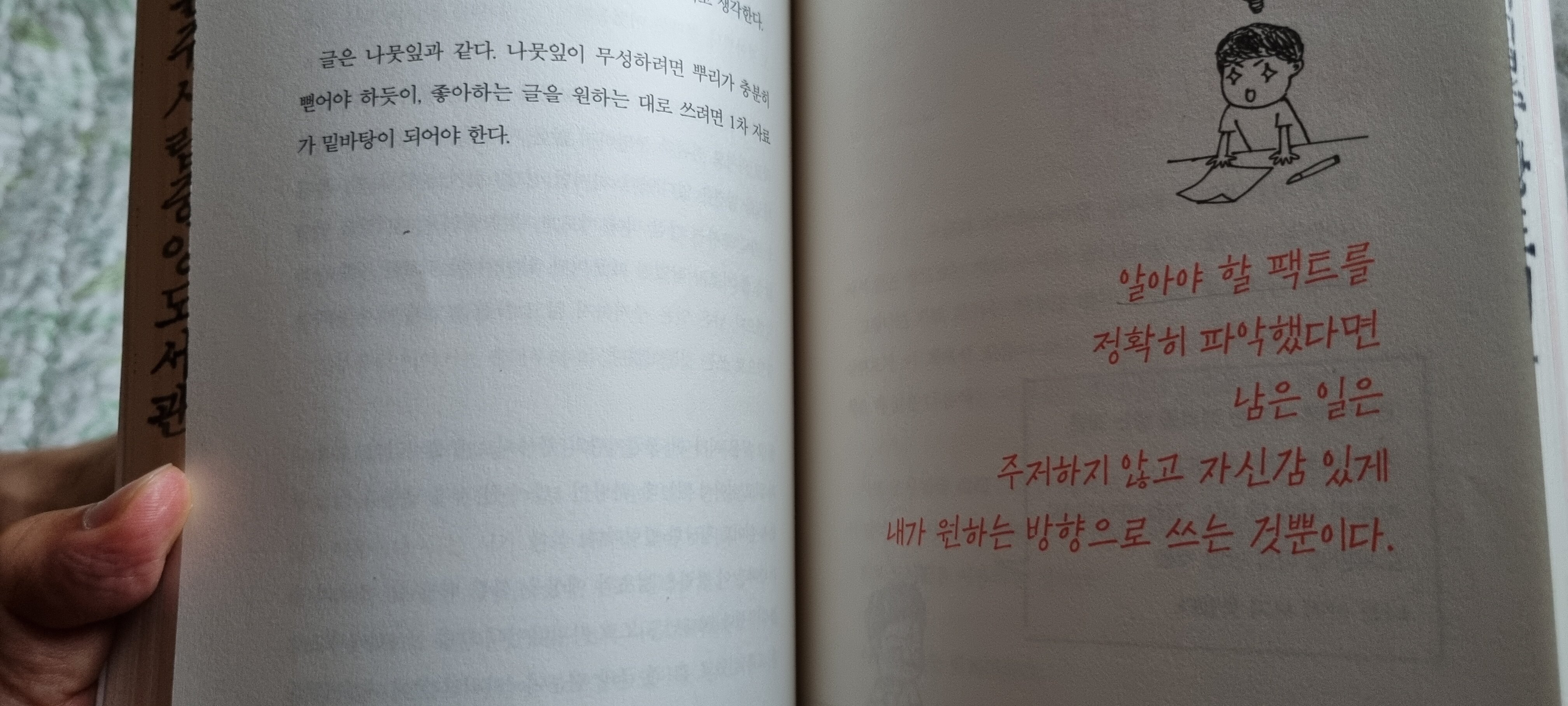 컨텐츠 이미지
