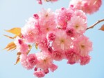 대표사진