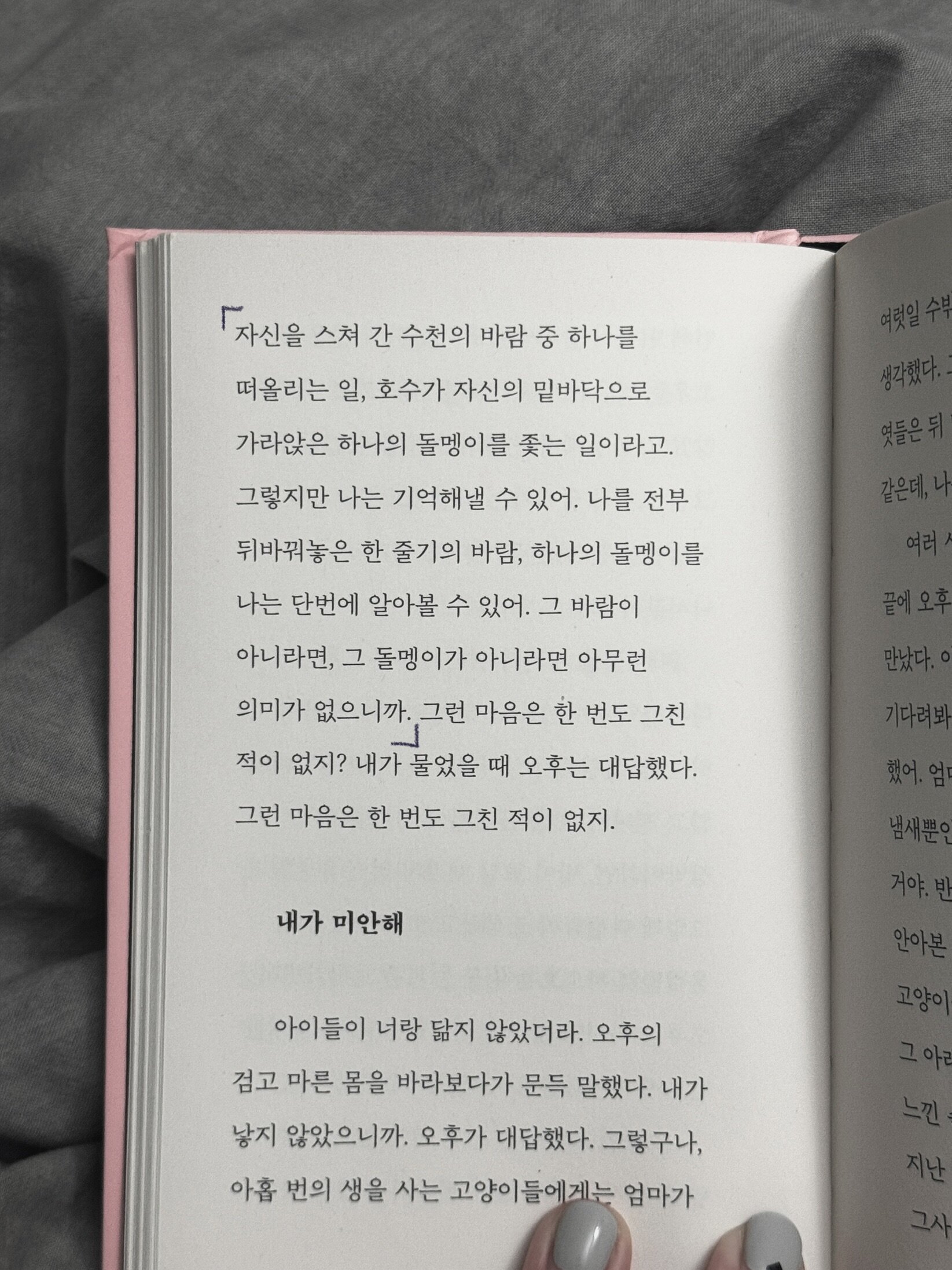 컨텐츠 이미지