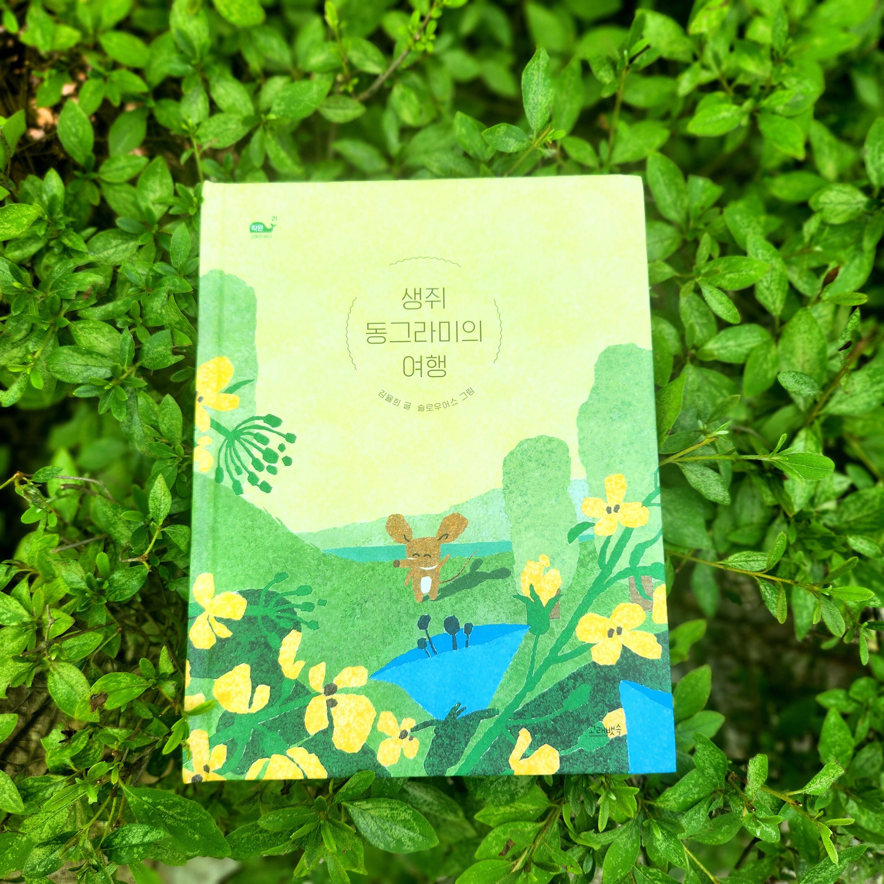 첨부된 사진