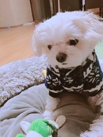 대표사진