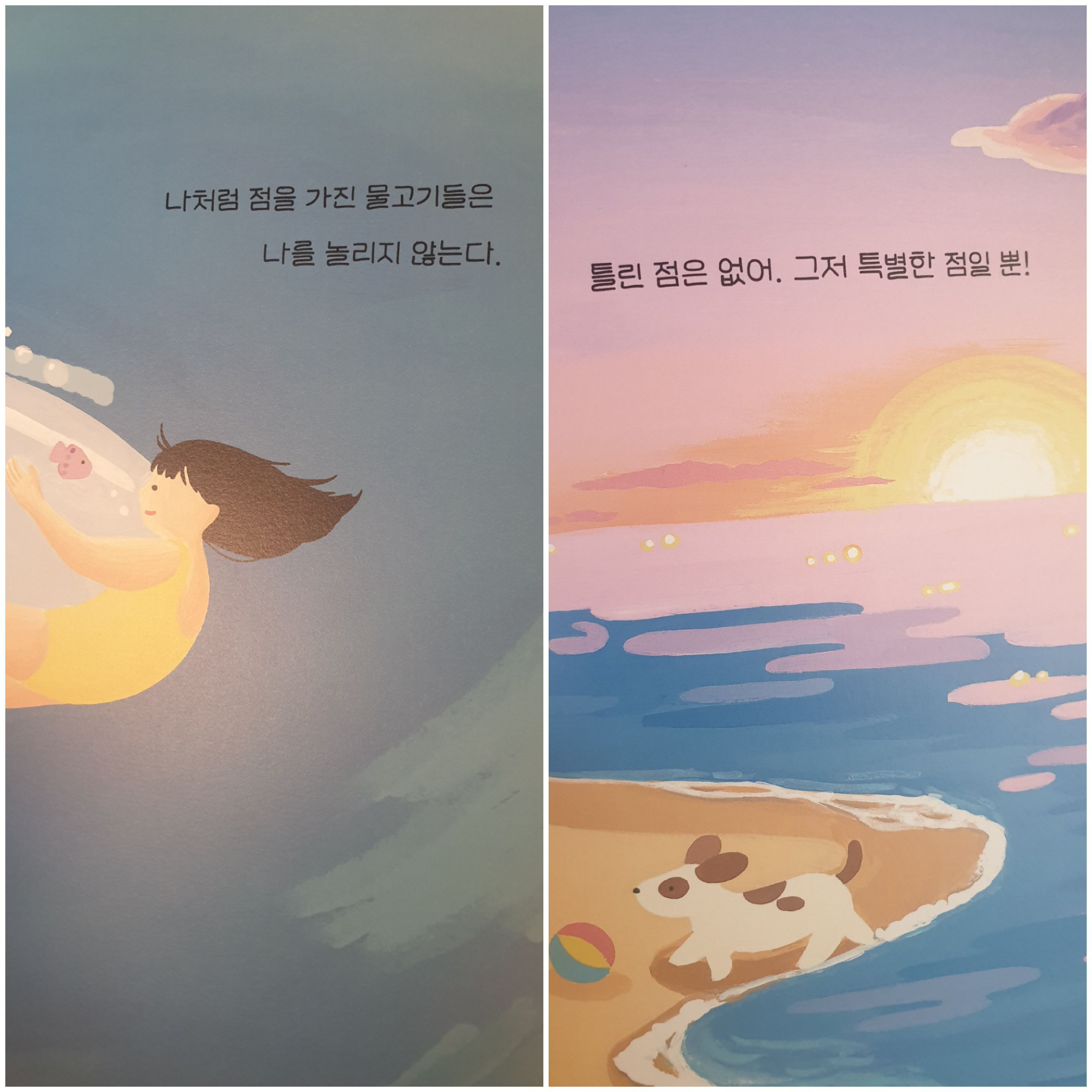 첨부된 사진