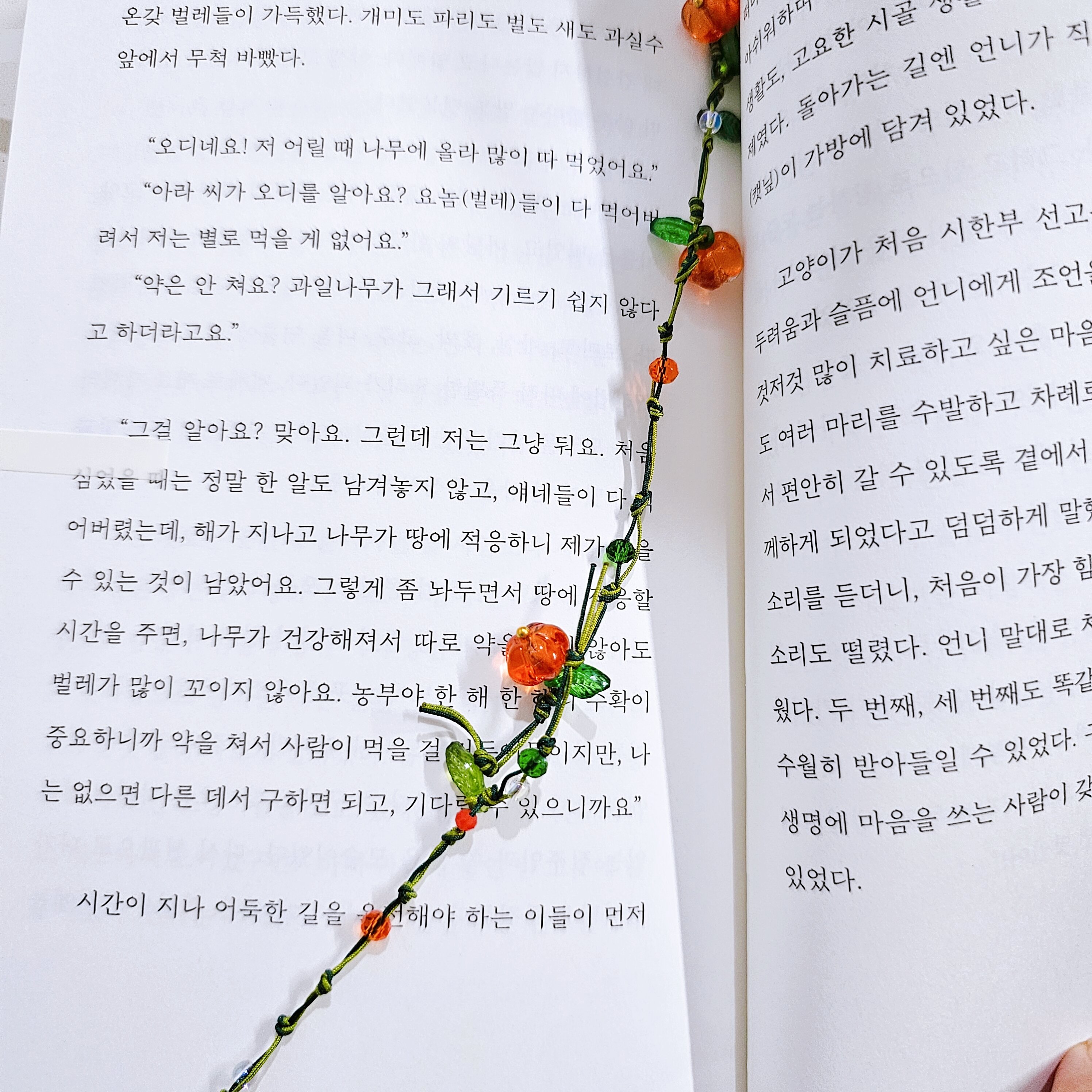 첨부된 사진