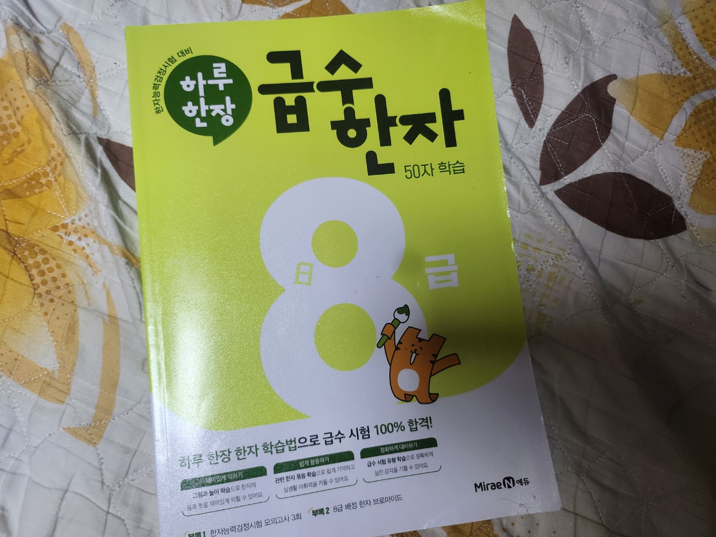 첨부된 사진