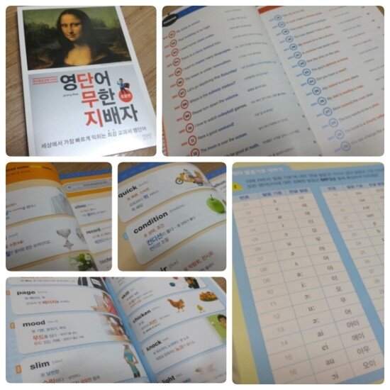 첨부된 사진