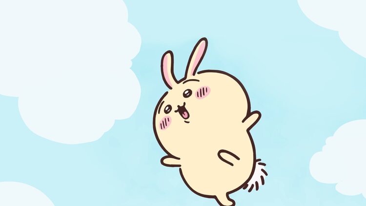 대표사진