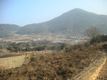 대표사진