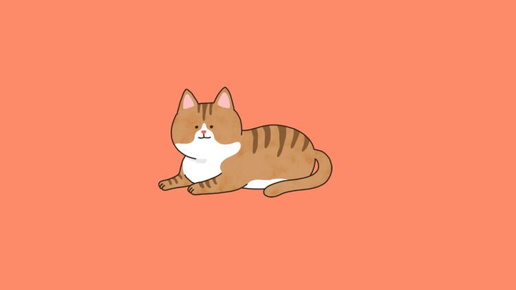 대표사진