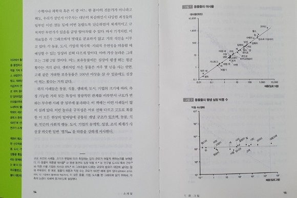 컨텐츠 이미지