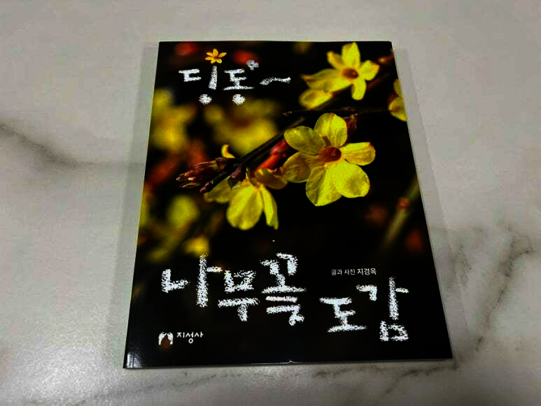 첨부된 사진