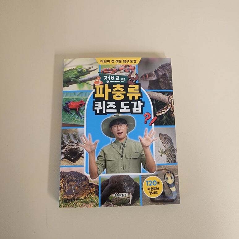 첨부된 사진