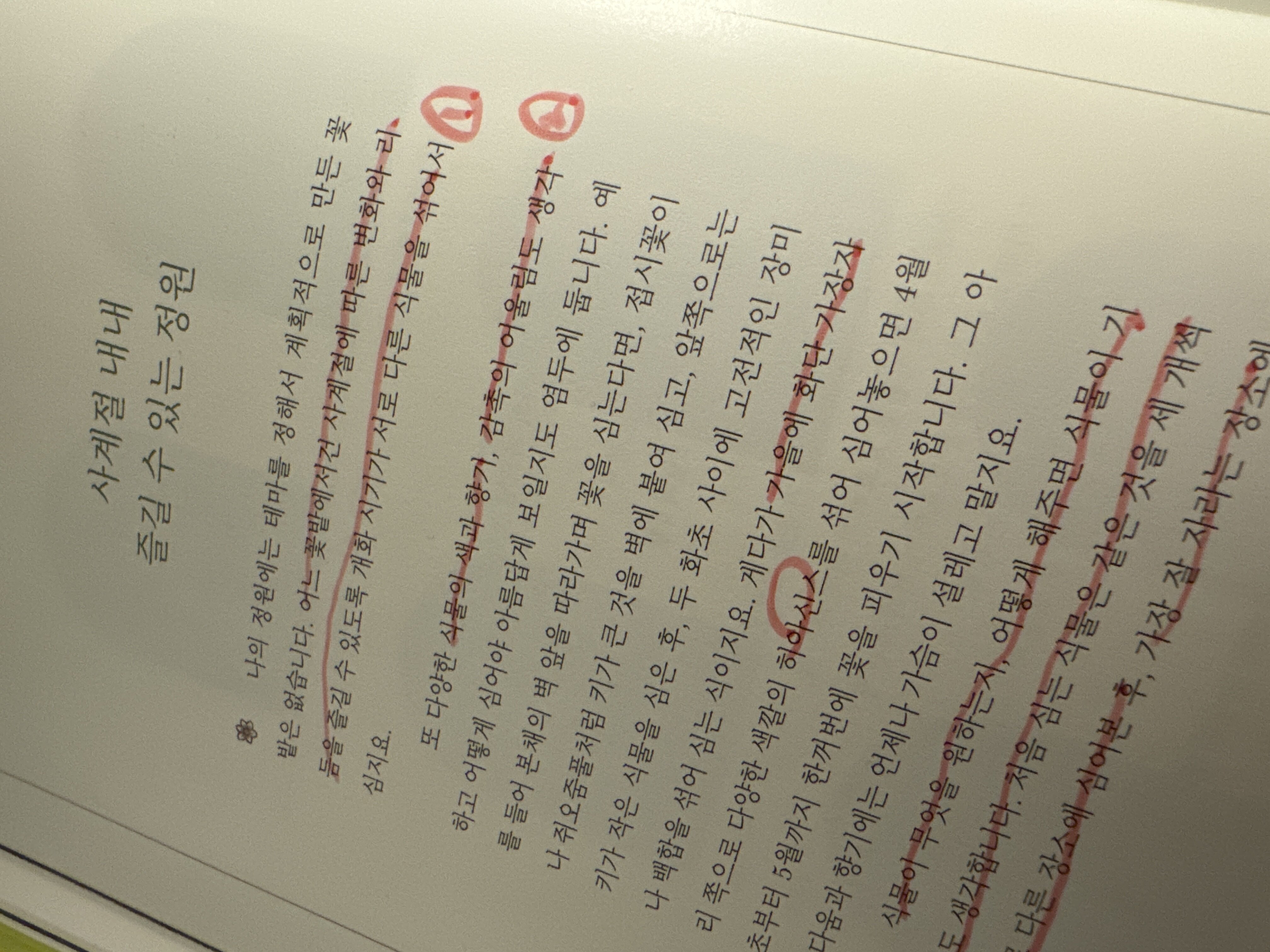 컨텐츠 이미지