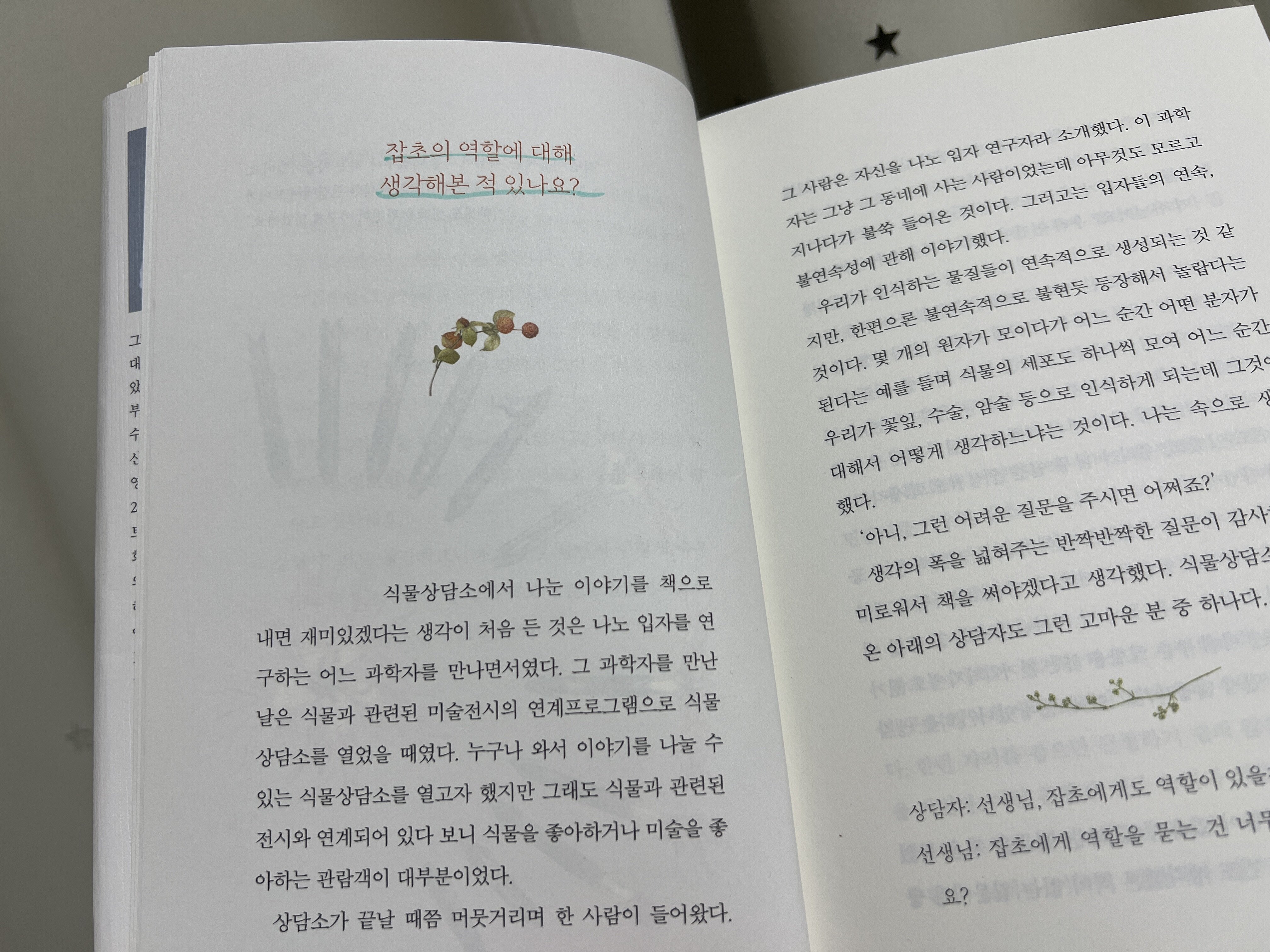 컨텐츠 이미지