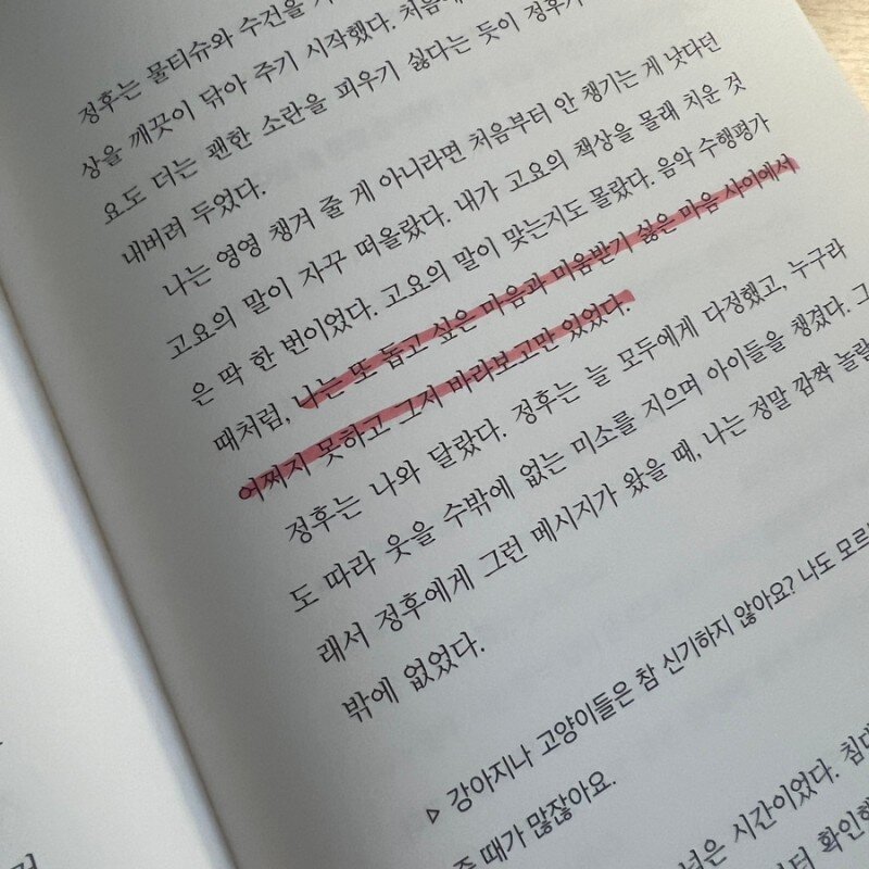 컨텐츠 이미지