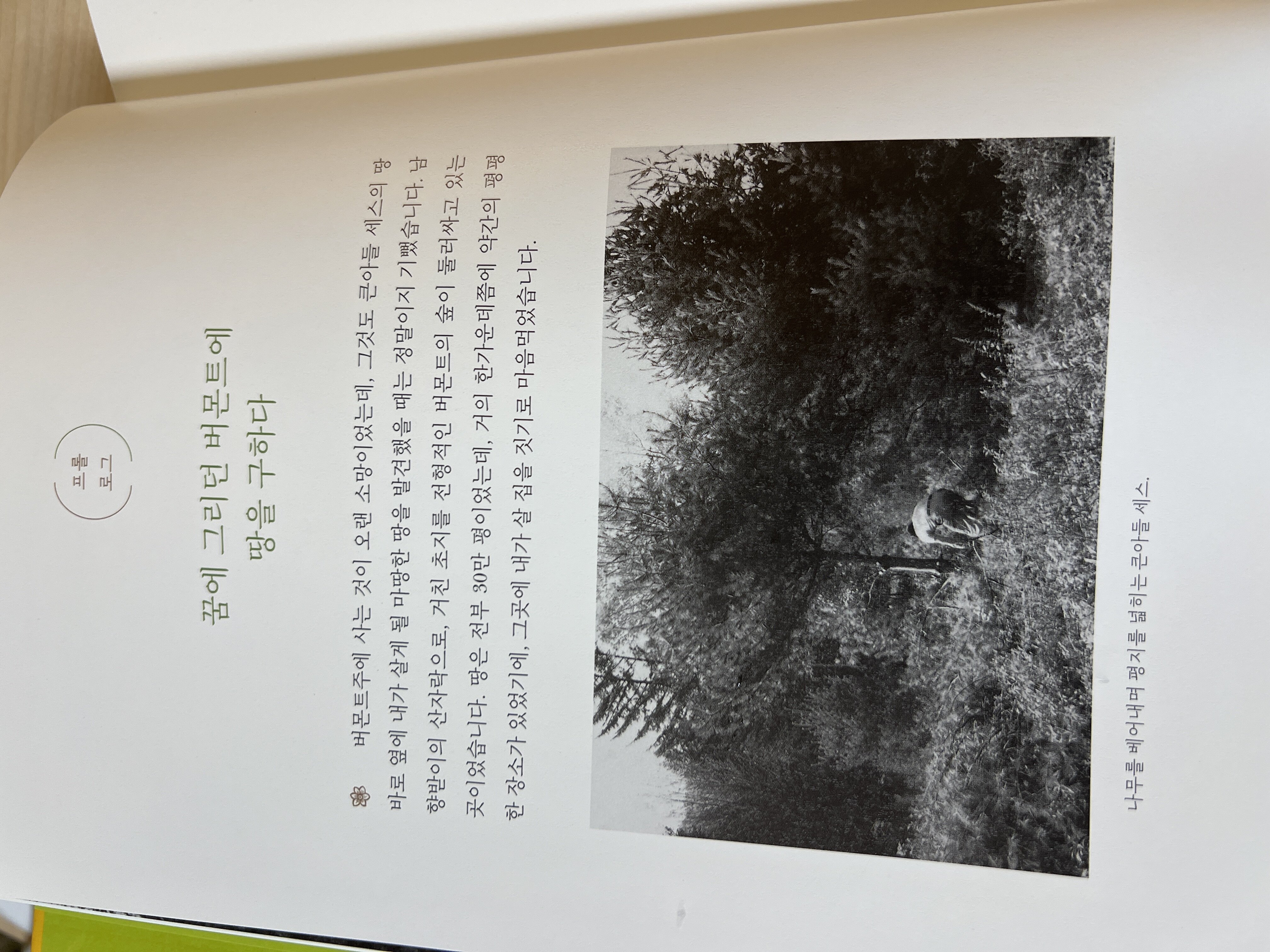 컨텐츠 이미지