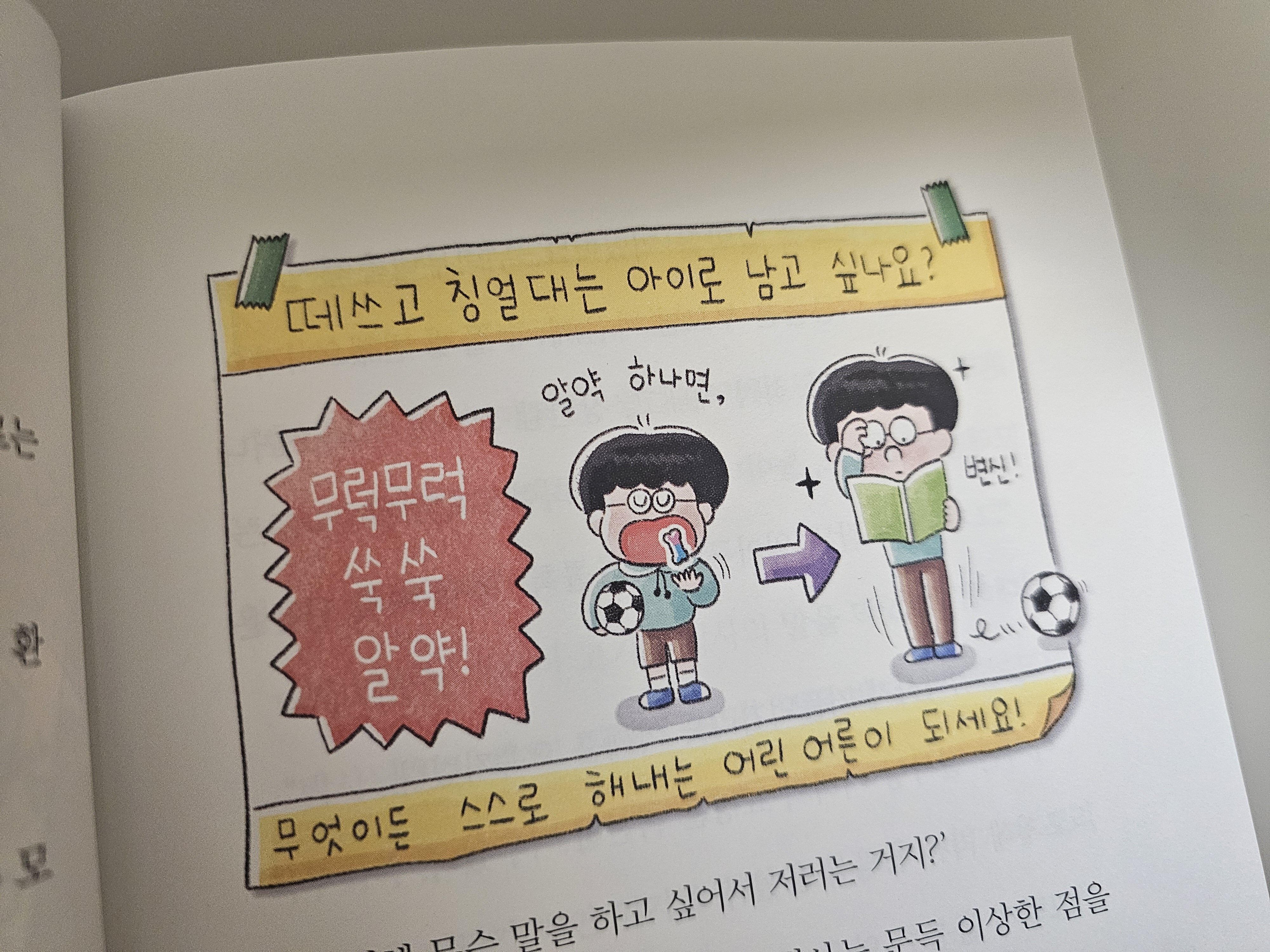 첨부된 사진