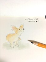 대표사진