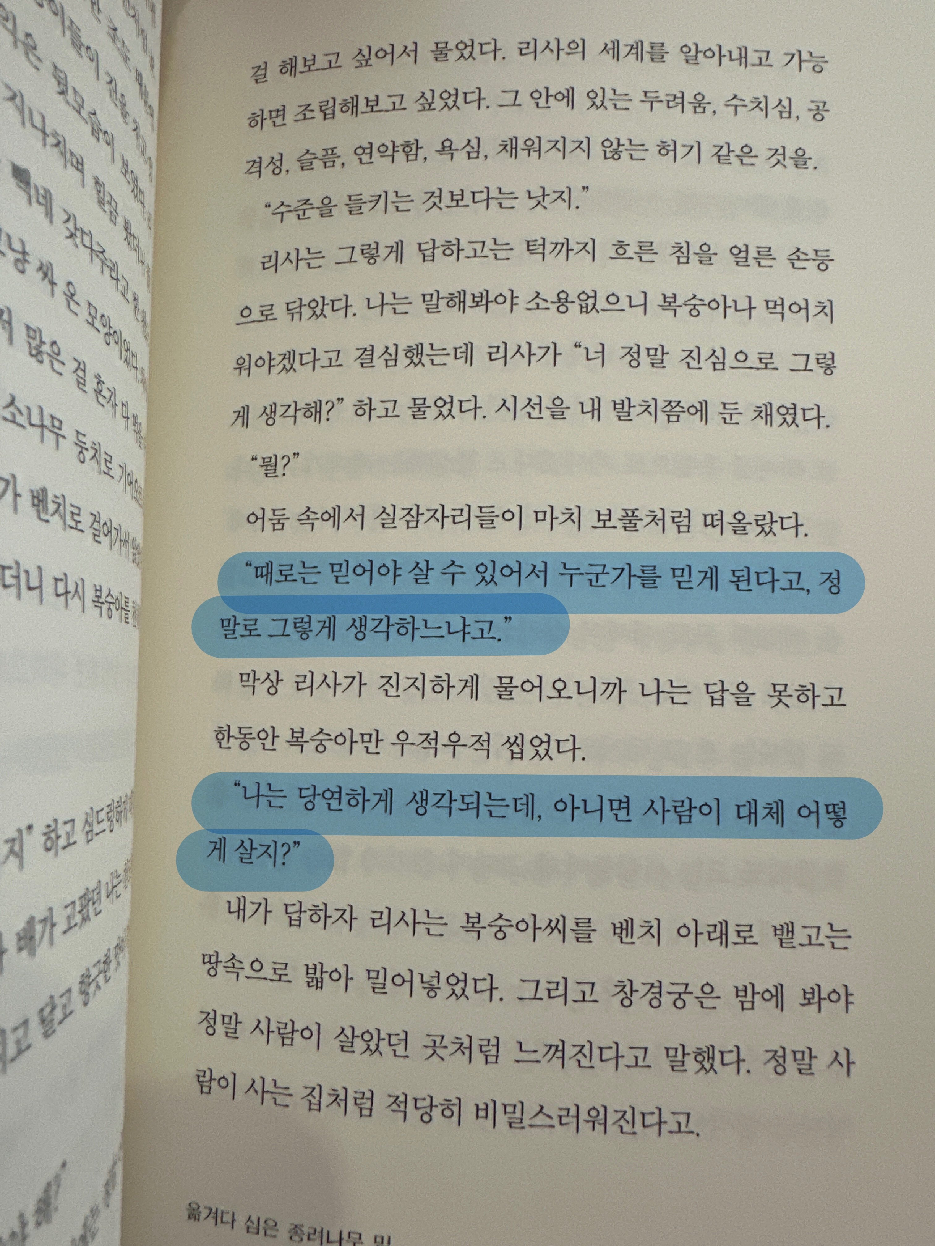컨텐츠 이미지