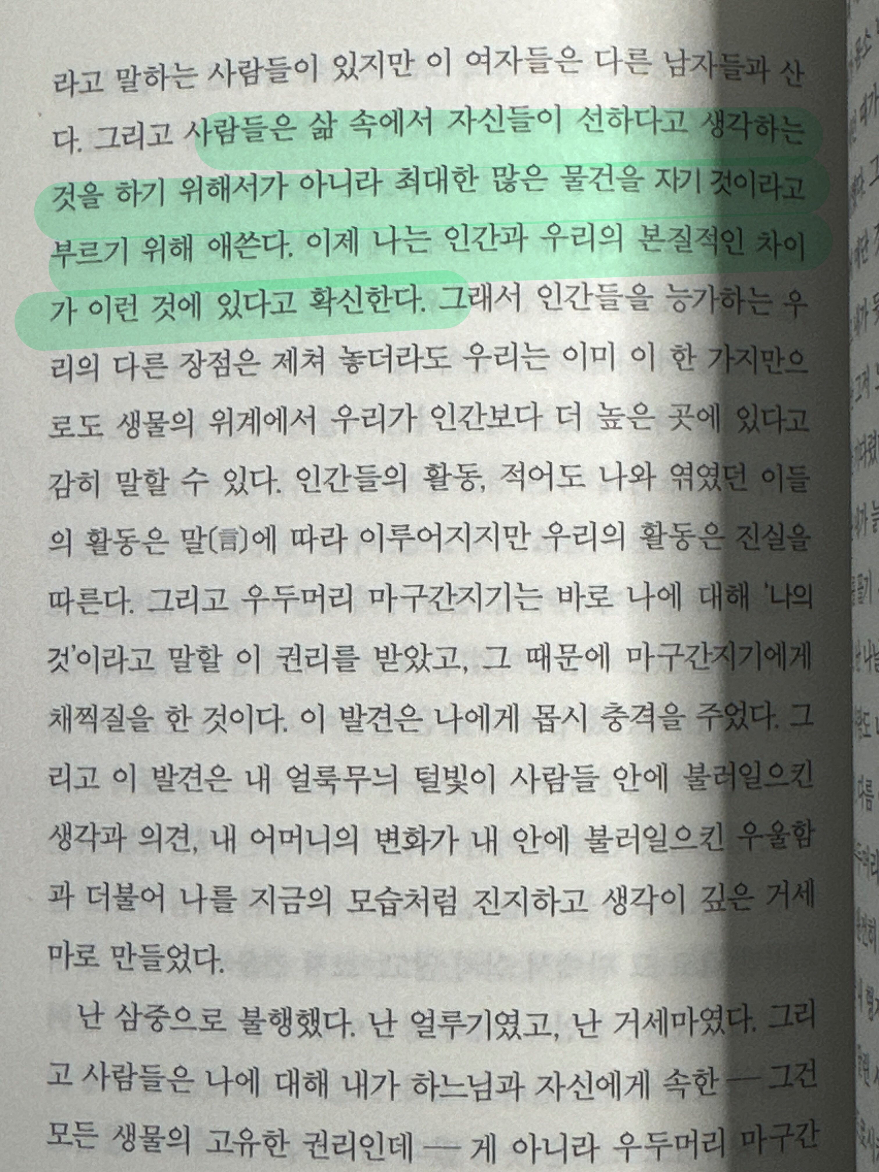 컨텐츠 이미지