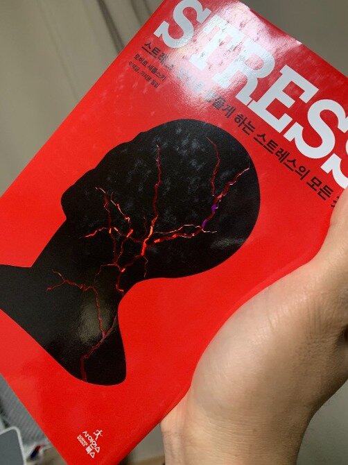 컨텐츠 이미지