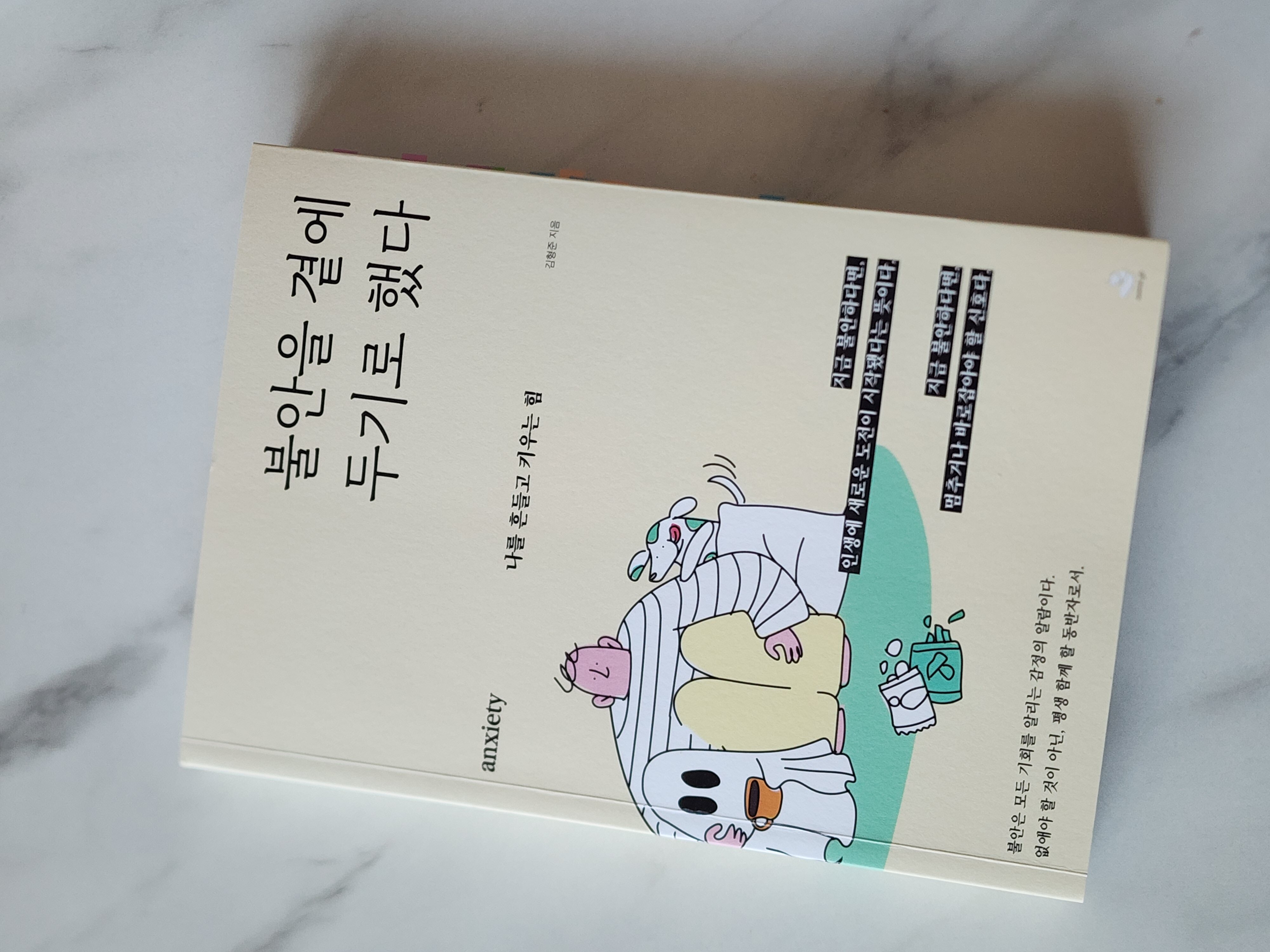 첨부된 사진