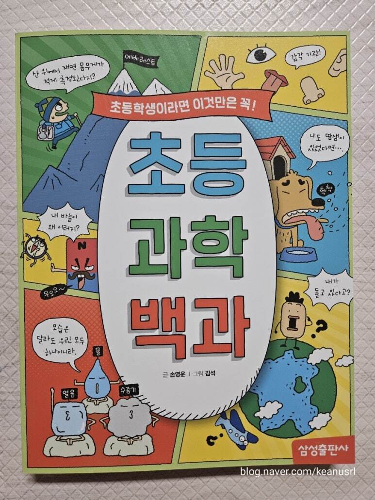 첨부된 사진