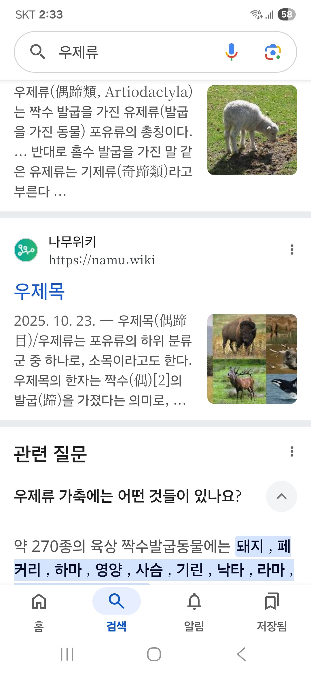 첨부된 사진