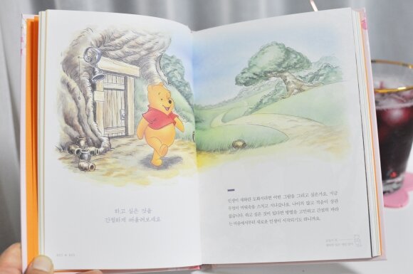 첨부된 사진