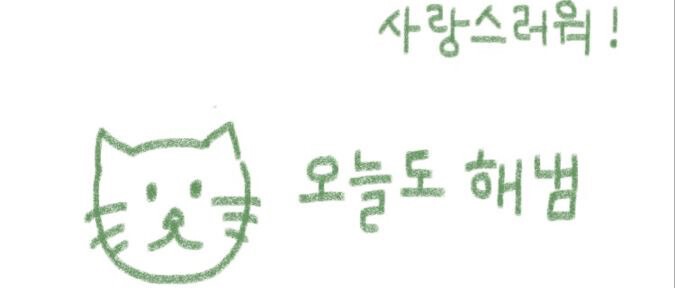 대표사진