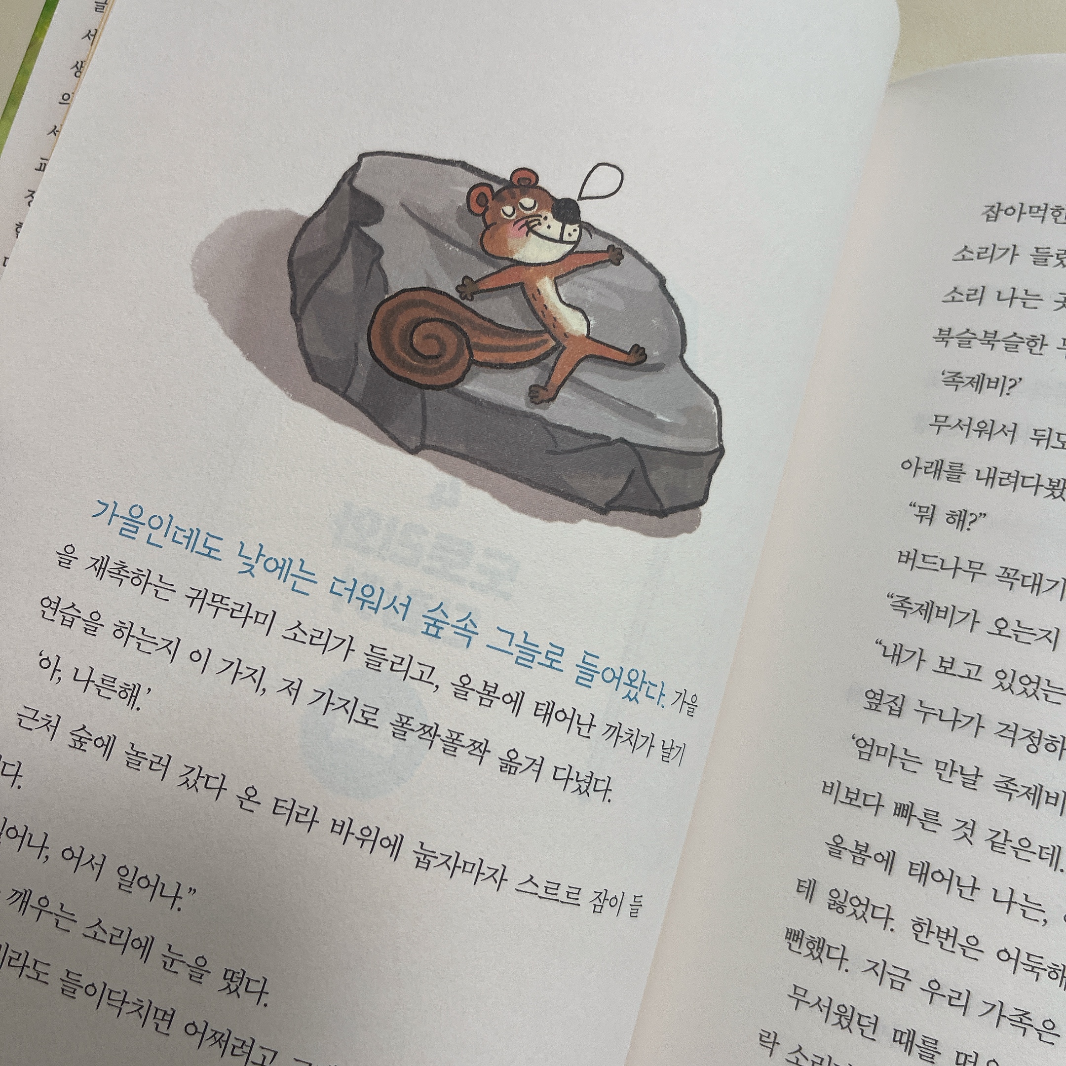 첨부된 사진