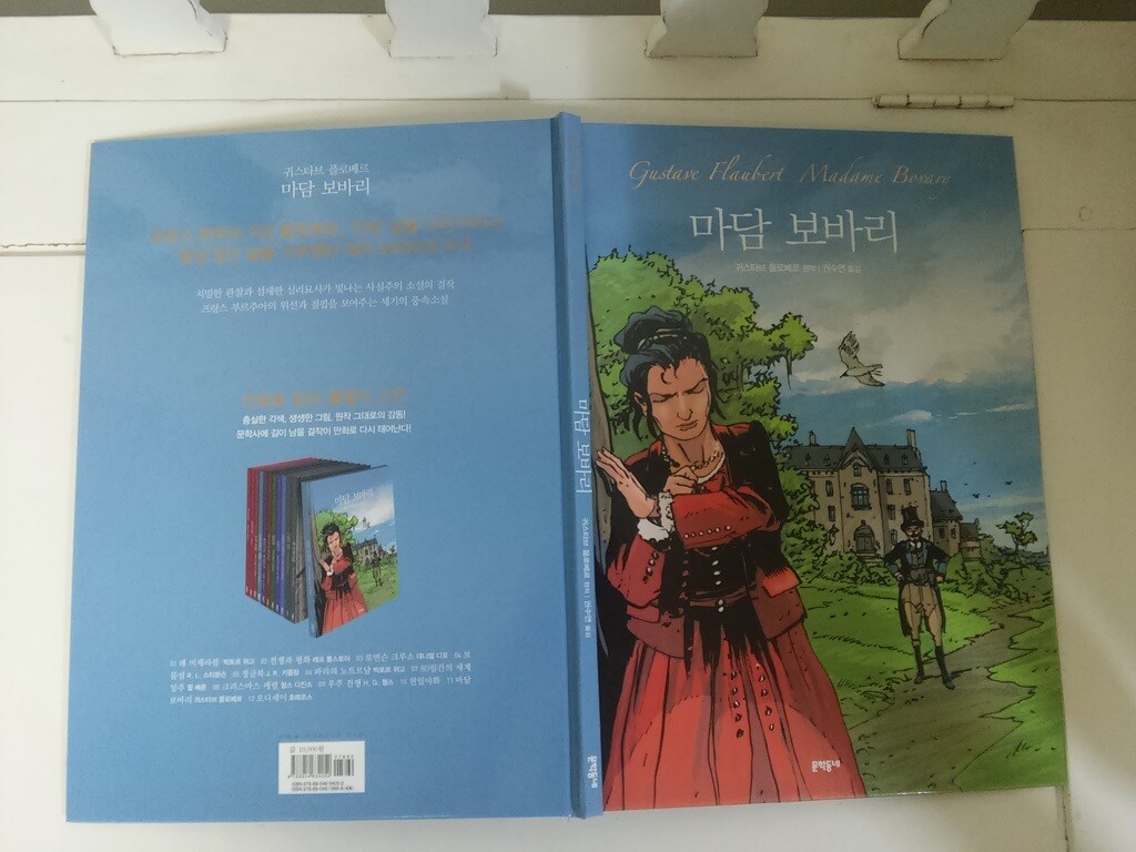 마담 보바리 도서 리뷰 : [서평]마담 보바리/만화로 읽는 불멸의 고전 | Yes24 블로그 - 내 삶의 쉼표