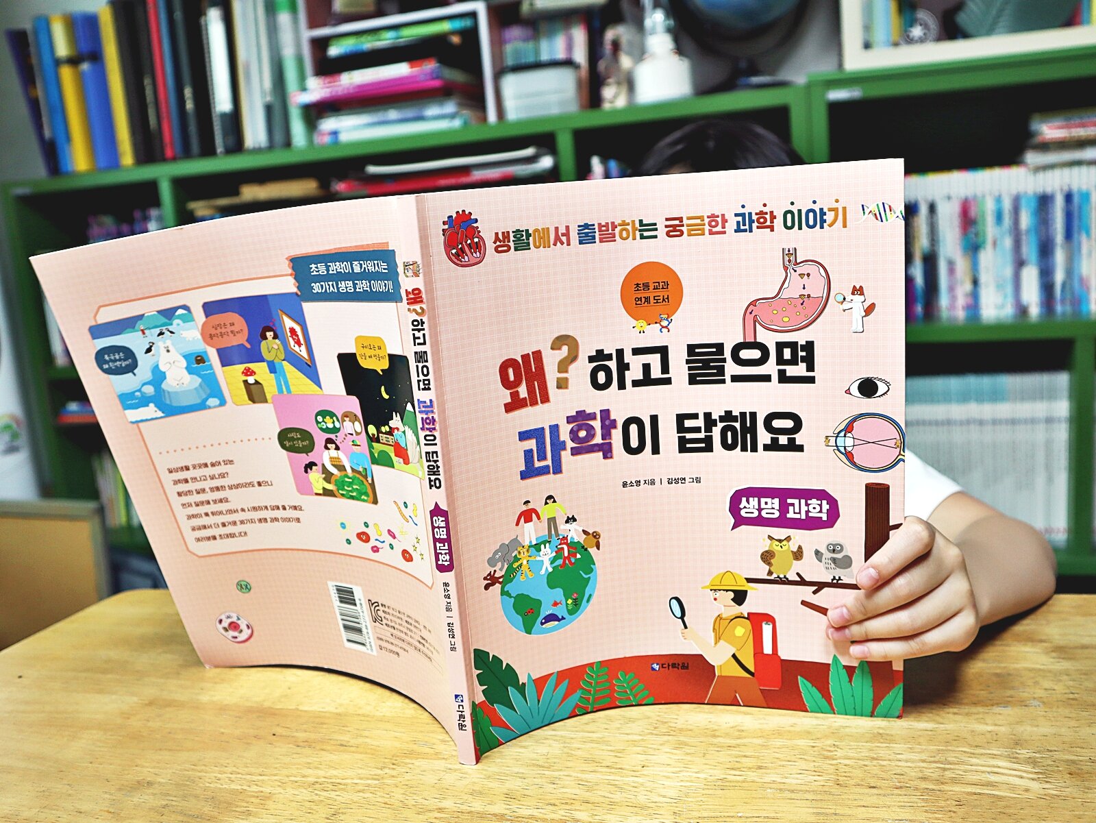 첨부된 사진