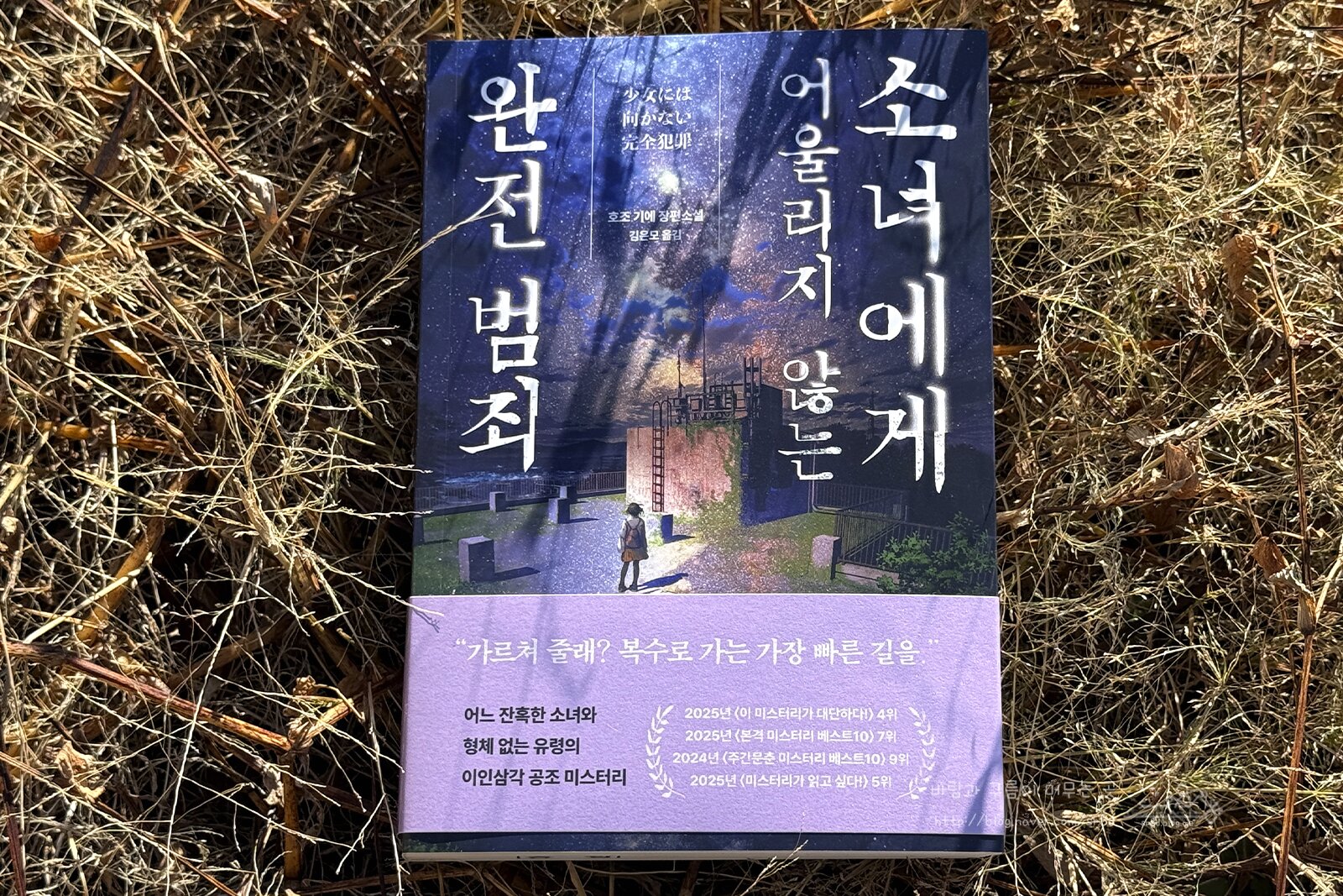 첨부된 사진