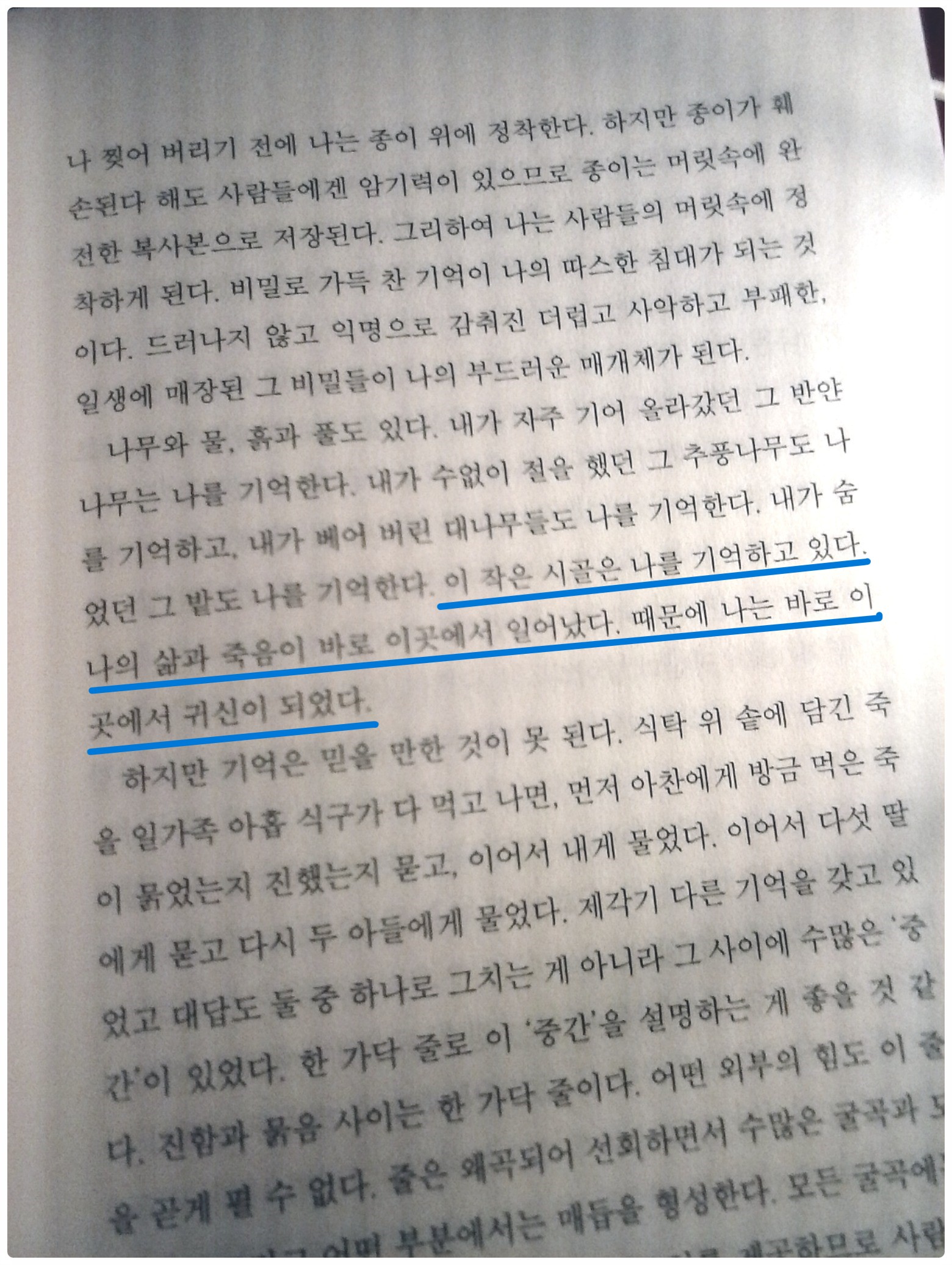 컨텐츠 이미지