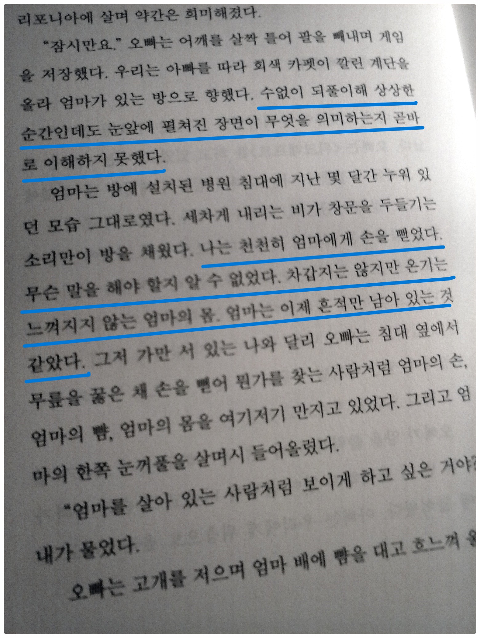 첨부된 사진