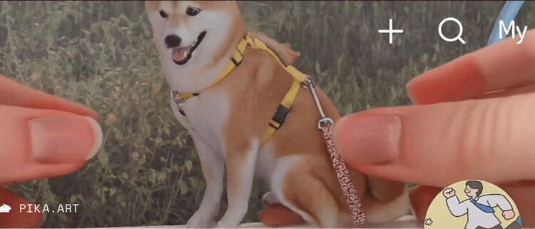 대표사진