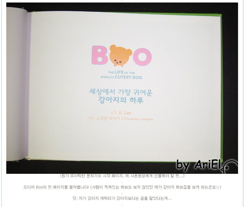 Boo 부 세상에서 가장 귀여운 강아지의 하루 도서 리뷰 : [Boo 세상에서 가장 귀여운 강아지의 하루(취미)]독특한 외모의 강아지가  보여주는 평범한 하루! | Yes24 블로그 - 내 삶의 쉼표