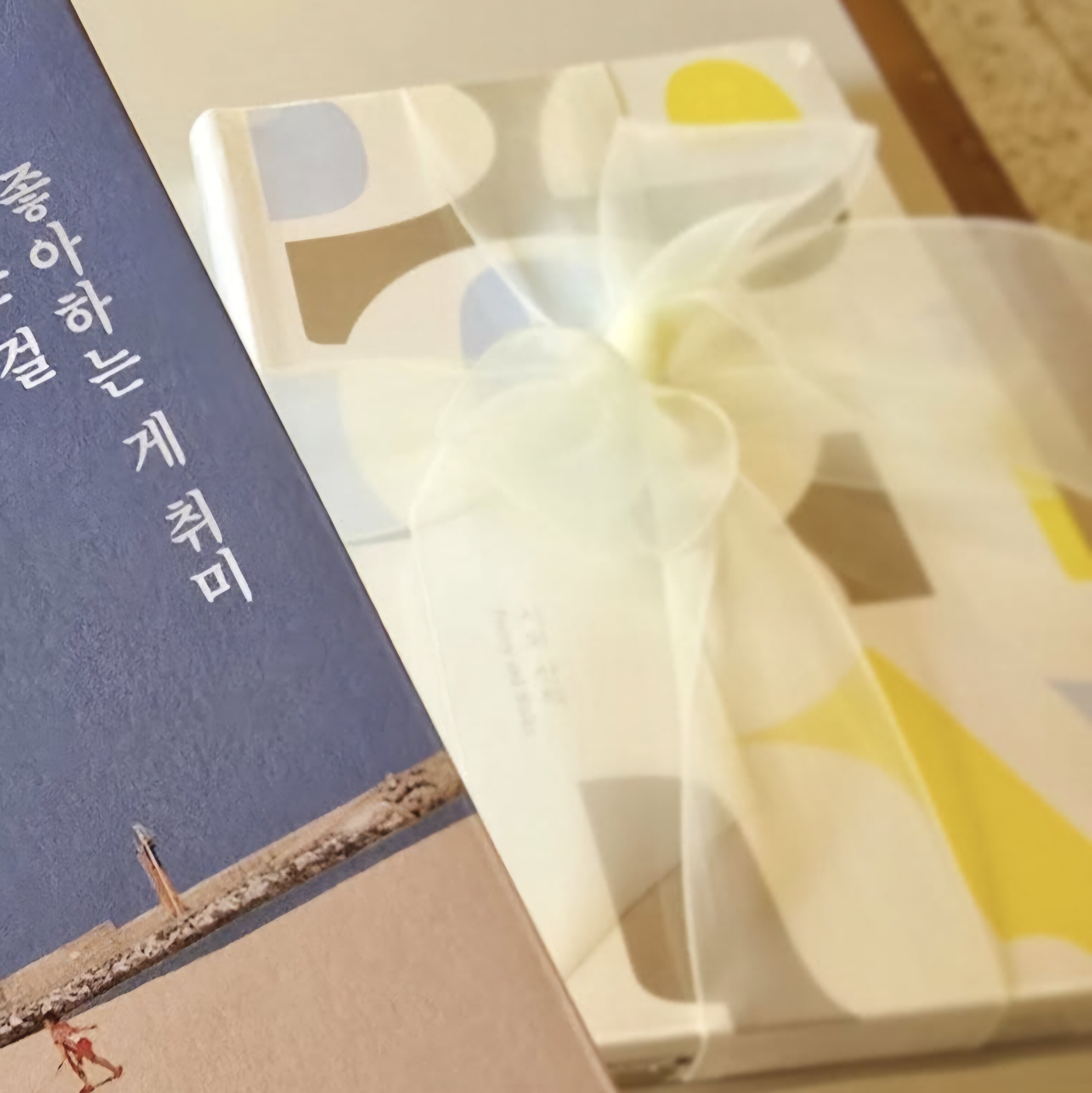 컨텐츠 이미지