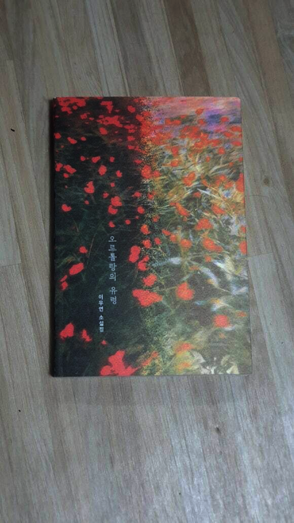 컨텐츠 이미지