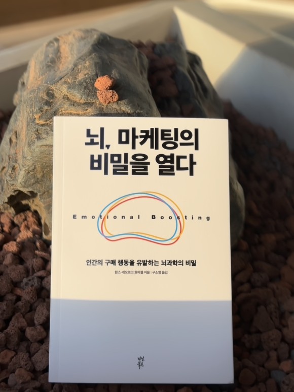 컨텐츠 이미지