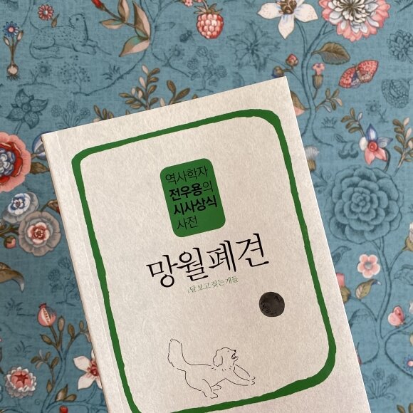 첨부된 사진