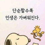 대표사진