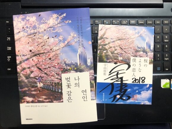 첨부된 사진