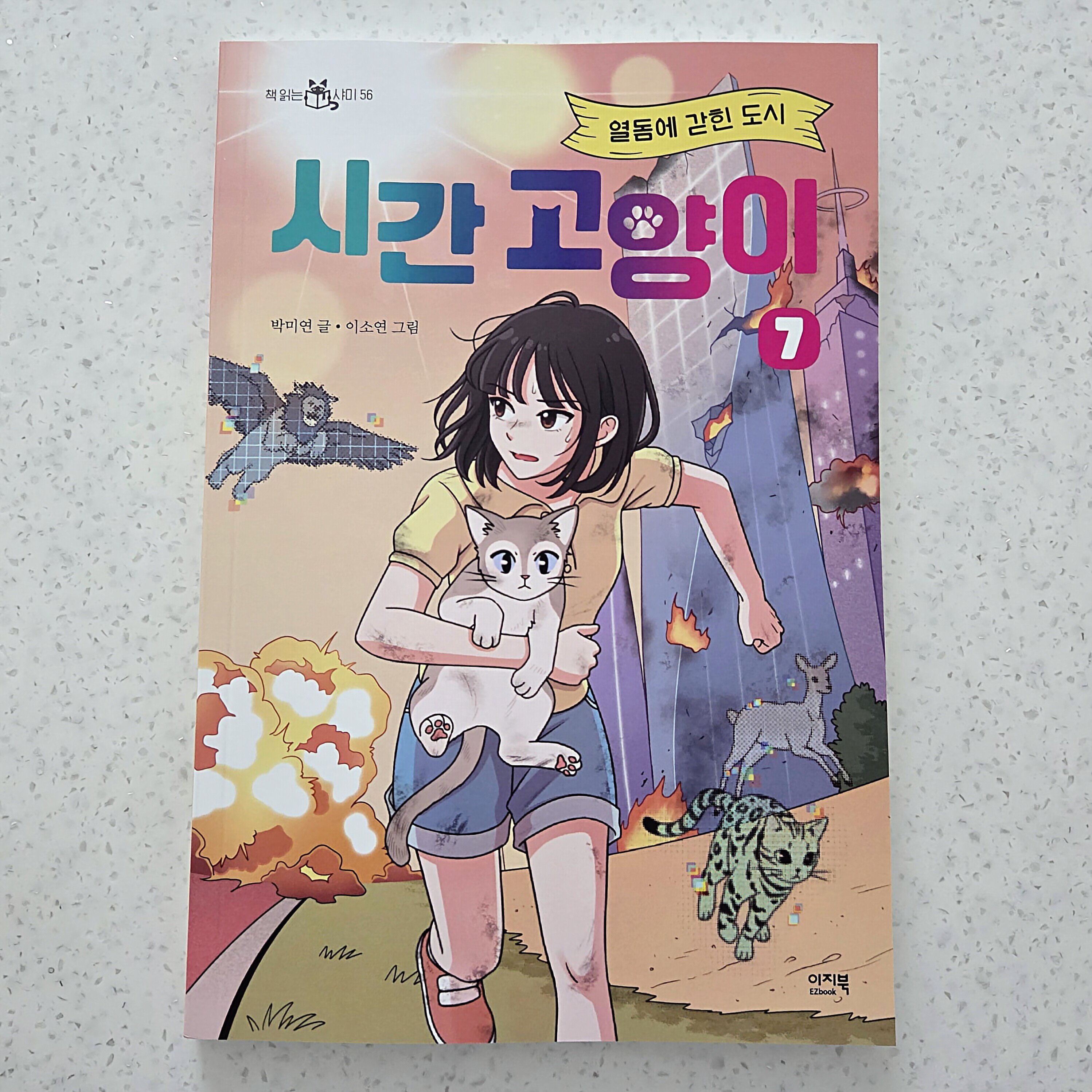 첨부된 사진