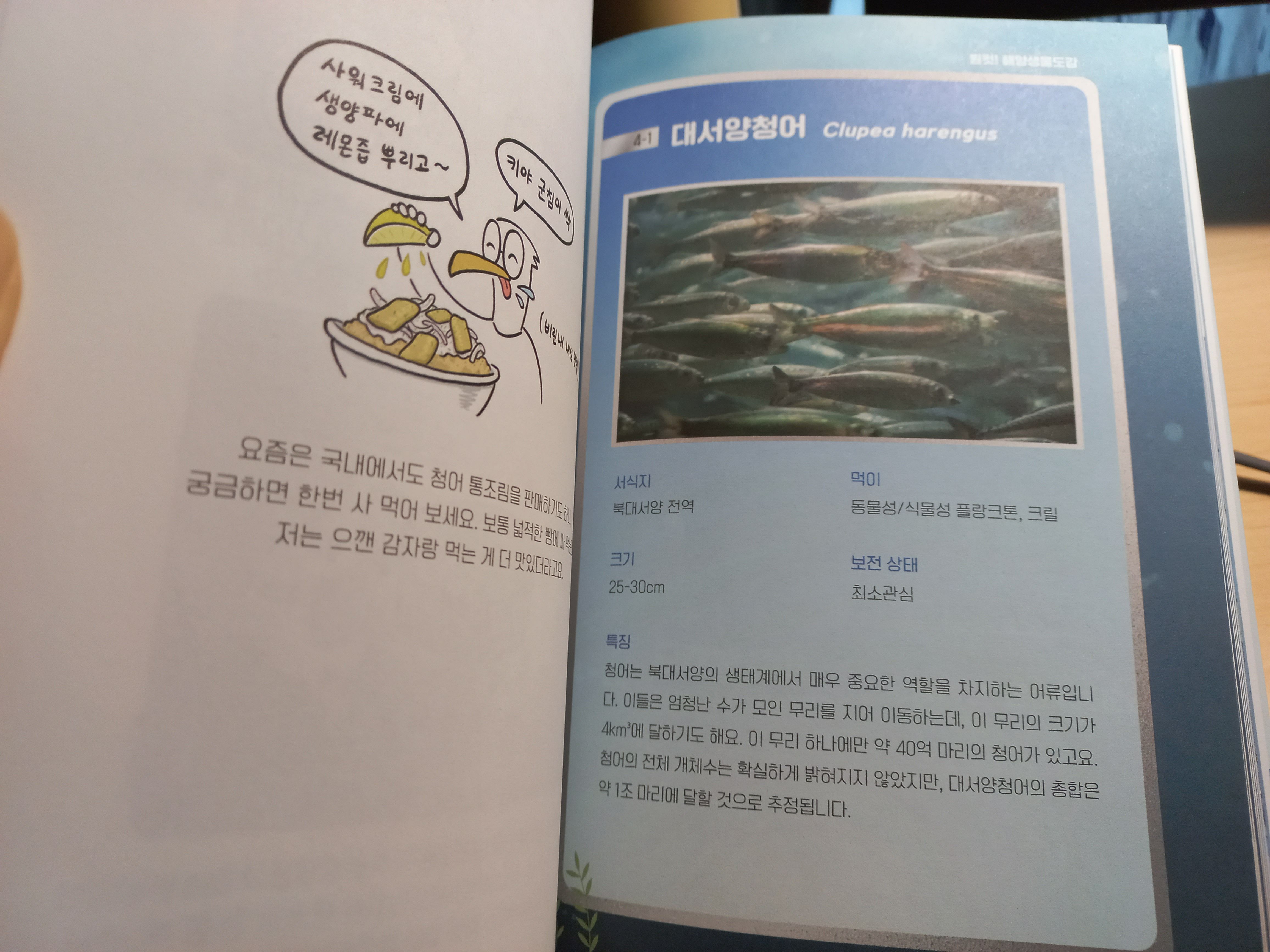 첨부된 사진