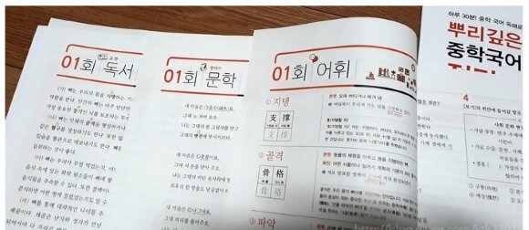첨부된 사진